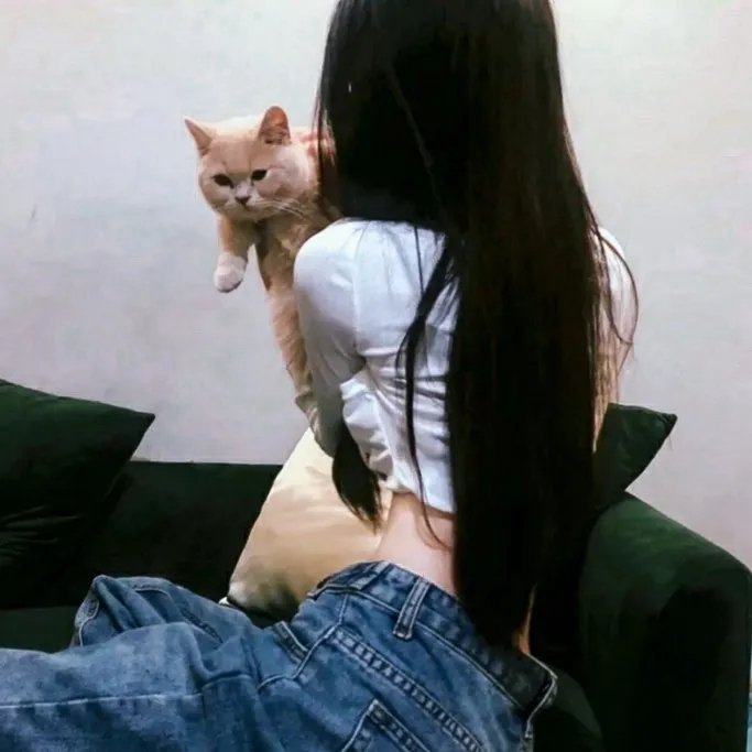 如果没有遇见你