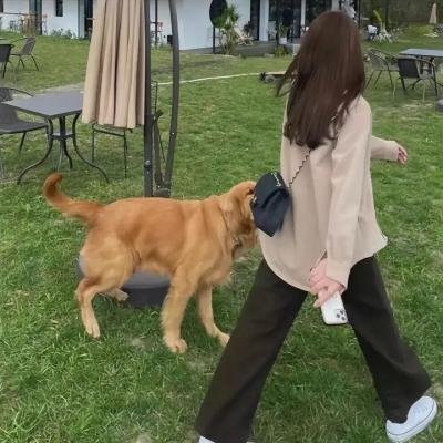 一触即爆